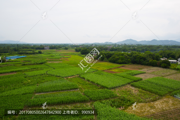 田野,航拍