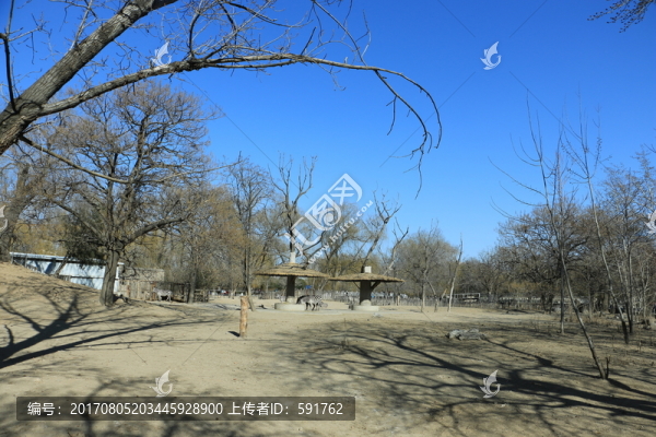 北京動(dòng)物園