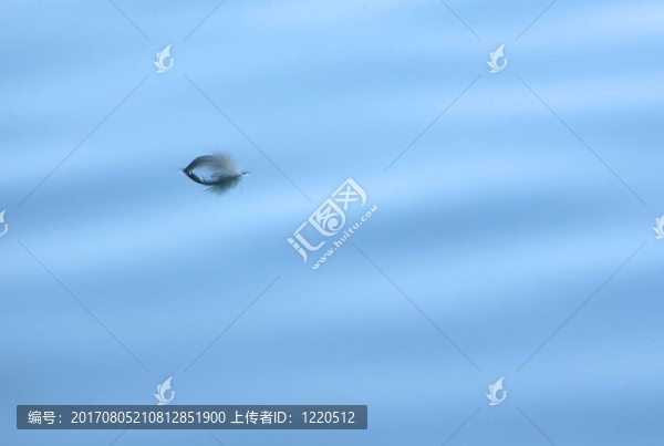 黃金分割？