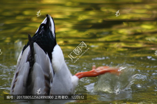 head,unters,water,...