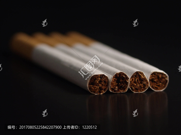 肺的魚雷