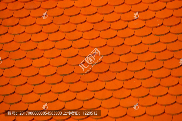 瓦片