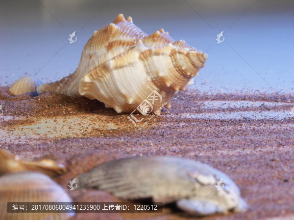 海灘的心情