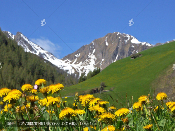 山