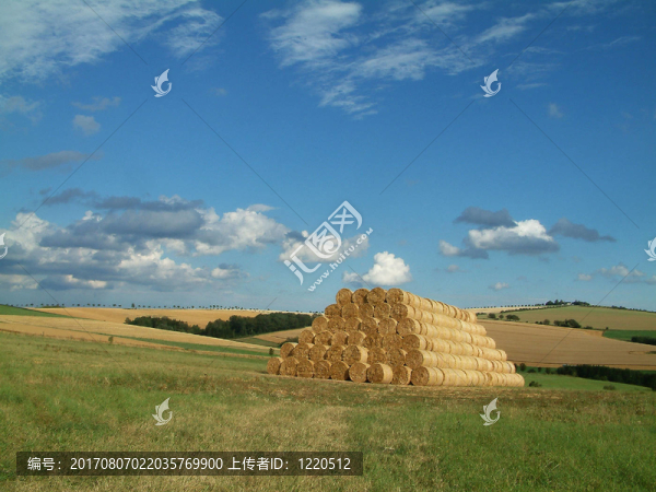 夏天的風(fēng)景