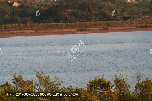 防城港,紅樹林風光