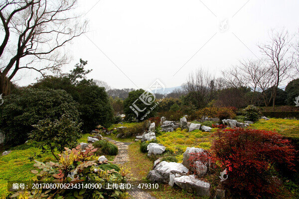 紫金山,公園,太虛幻境