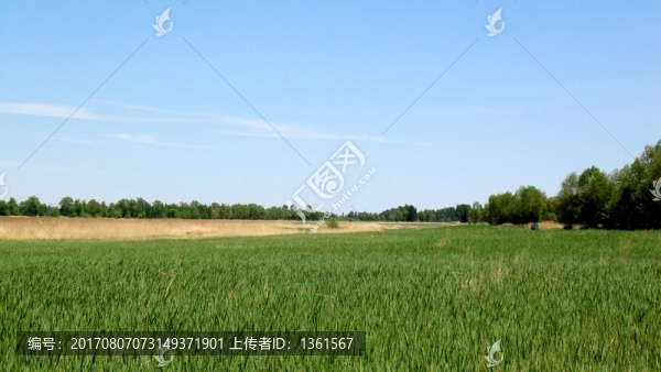 草場