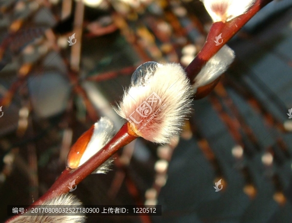 風(fēng)險？tzchen