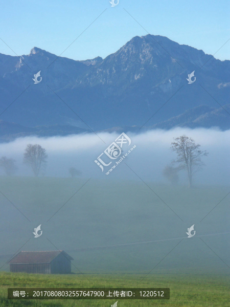 山