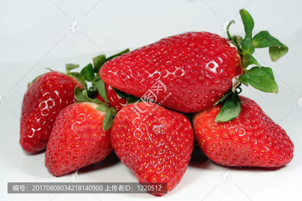 食品