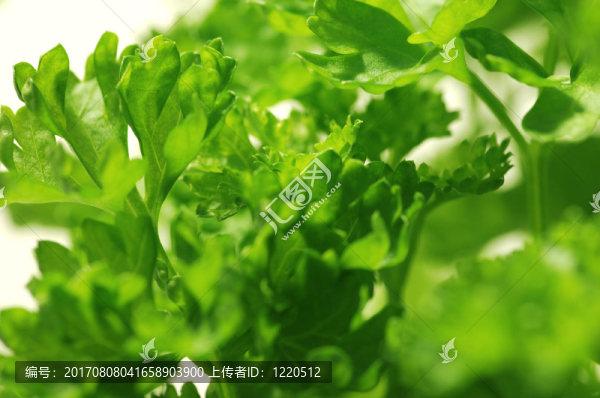 應該是健康的II