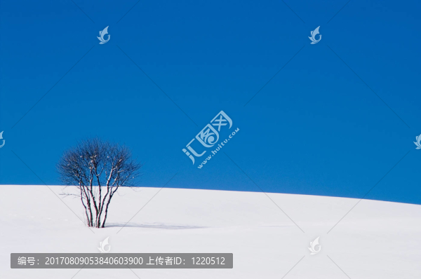 感覺(jué)藍(lán)