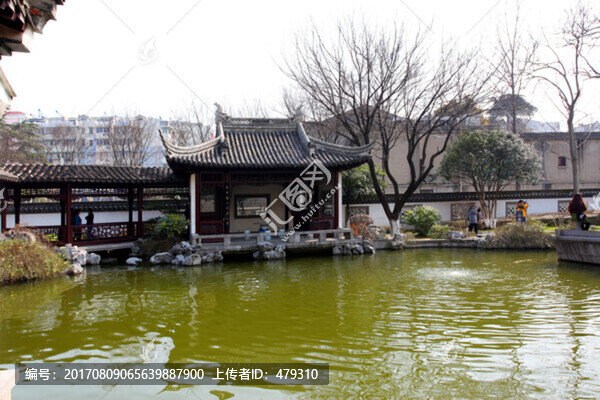 南京,總統(tǒng)府,樹木,園林,園藝