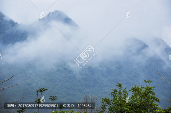 霧色山景