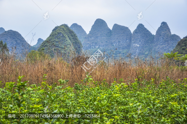 美麗山景