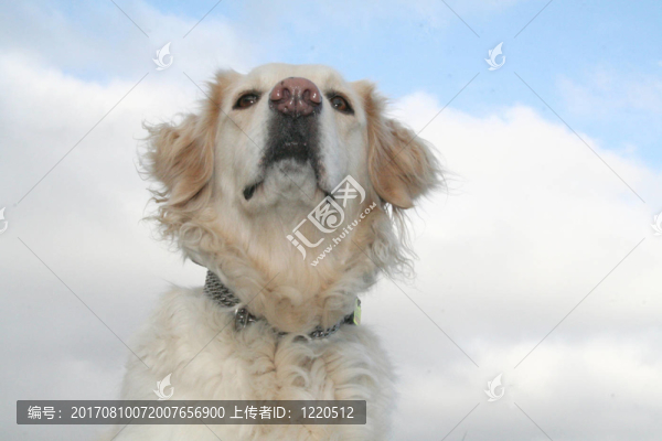 誰來這里？