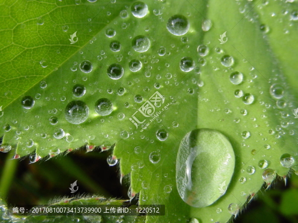 雨后