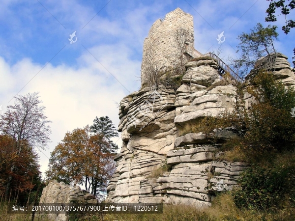 burgruine布魯克林