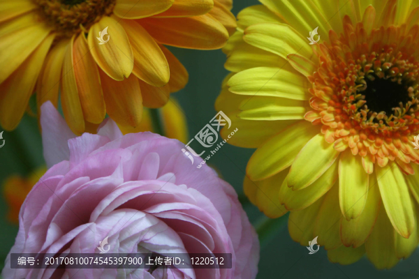 flowerpower