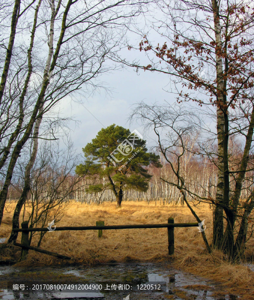 在duvenstedterbrook