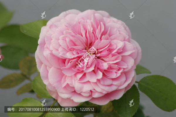 宏觀(guān)