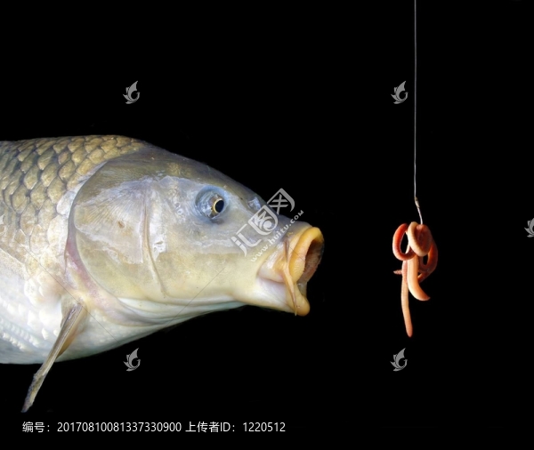 誘餌