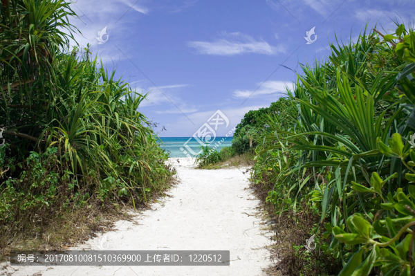 遠(yuǎn)離大海-匯圖網(wǎng) www.fosd68.com 遠(yuǎn)離大海