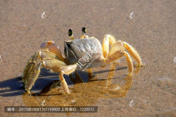 癌癥