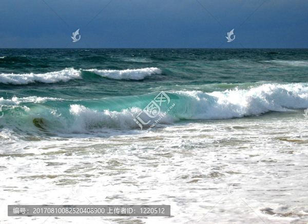 沖浪大西洋帽雪貂阿卡雄FR