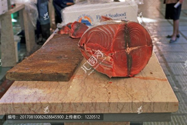 金槍魚