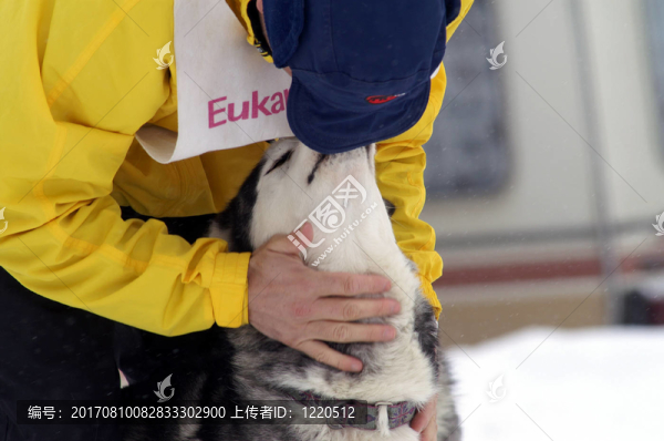 動物