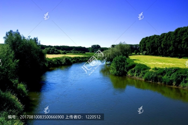 田野