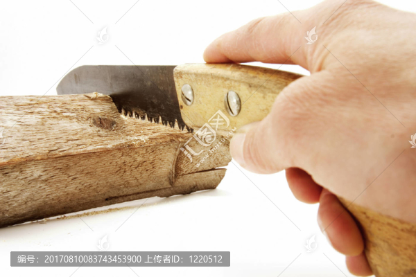 谷子