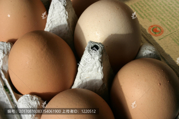食品