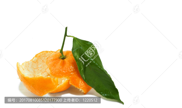 Tangerine夜店的皮膚16