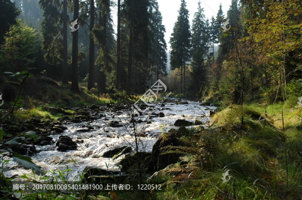 schwarzwassertal,2