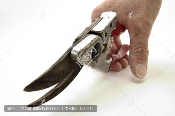 修枝剪