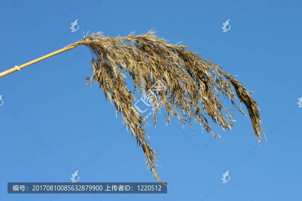 干燥設(shè)備