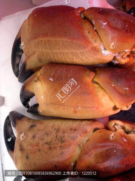卑爾根魚市場(chǎng)