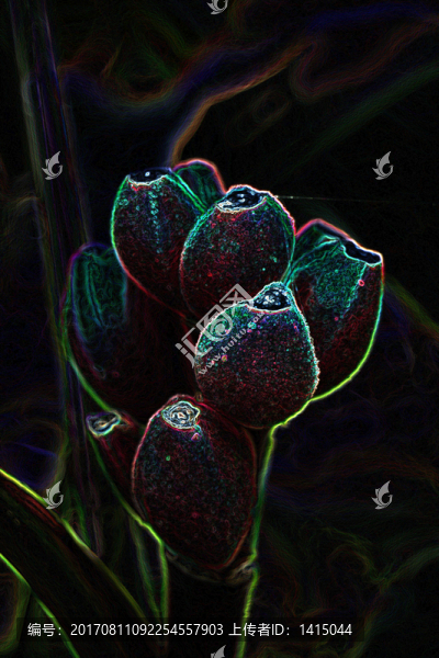 花朵背景,底紋,植物,花,花卉