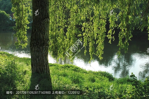 舒適