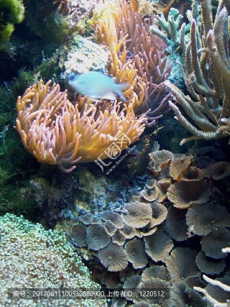 水族館