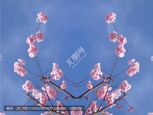 彈簧弓