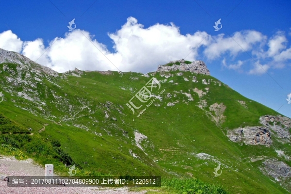 山家9
