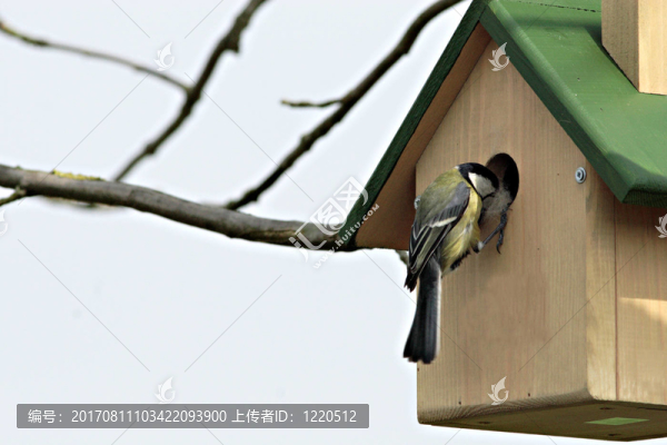 美滿結(jié)局...