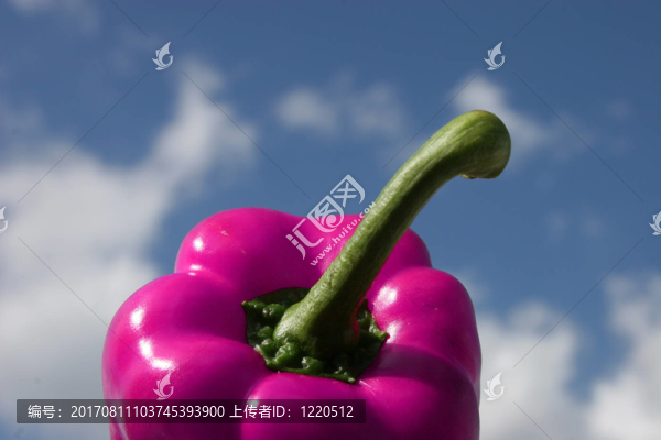 巧妙的