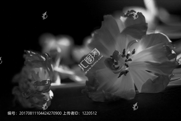 蠕蟲的眼睛