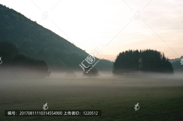 早晨的霧
