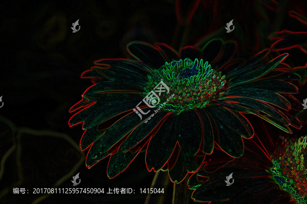 花朵背景,底紋,植物,花,花卉